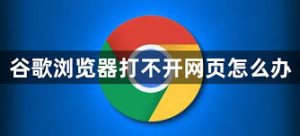 谷歌浏览器打不开怎么办？详细解决方法汇总 